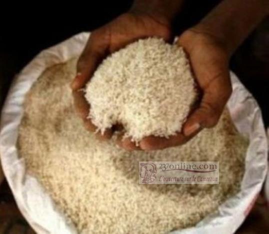 Cameroun: Le riz de la Semry se vend bien à Yaoundé