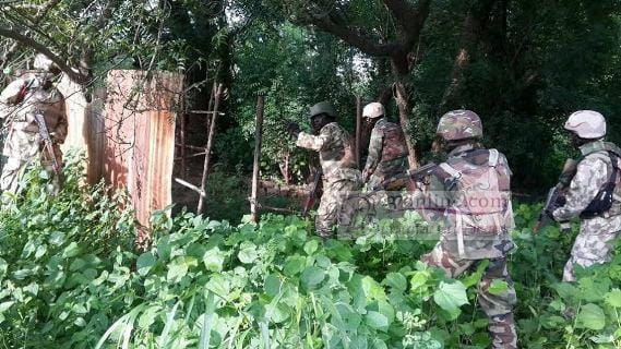 La forêt de Sambisa nettoyée de Boko Haram, selon la force régionale du lac Tchad