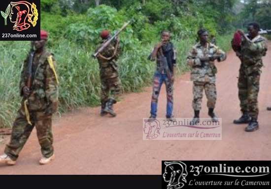 Cameroun: 100 combattants de la Seleka assiègent un village camerounais