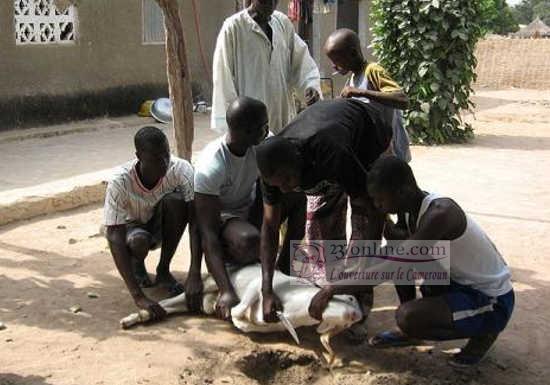 Cameroun – Tabaski 2018 : Deux Imams s’affrontent à la Mosquée Centrale de Yaoundé