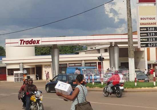 Tradex revendique la création d’«un millier d’emplois» au Cameroun en 8 ans