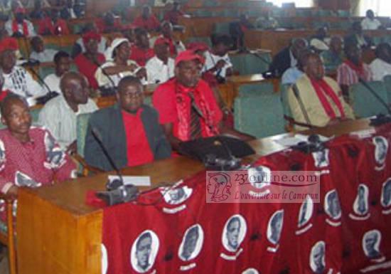 Cameroun: l’UPC appelle à un «modus vivendi partiel» contre Boko Haram