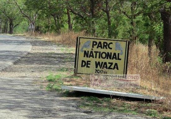 Cameroun: Claire et nette amélioration de l’activité touristique à l’Extrême-Nord