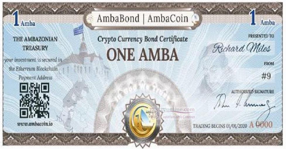 Cameroun : les séparatistes anglophones frappent leur propre monnaie