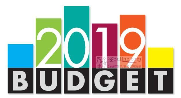 Cameroun : 4850,5 milliards de francs CFA de budget pour 2019