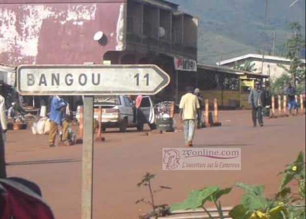 Cameroun : le citron, trésor de Bangou