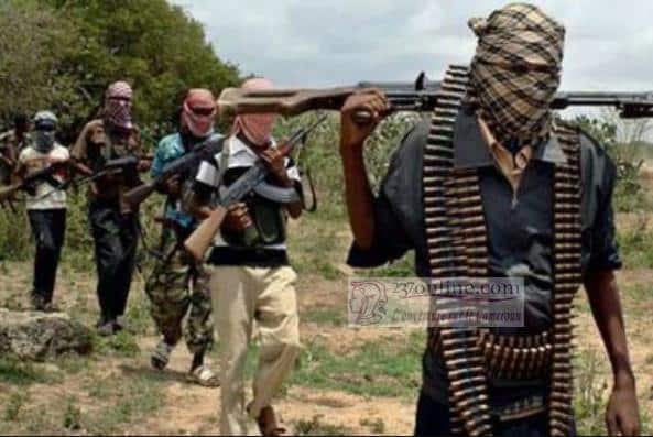 Cameroun: 73 terroristes de Boko Haram neutralisés par l’armée