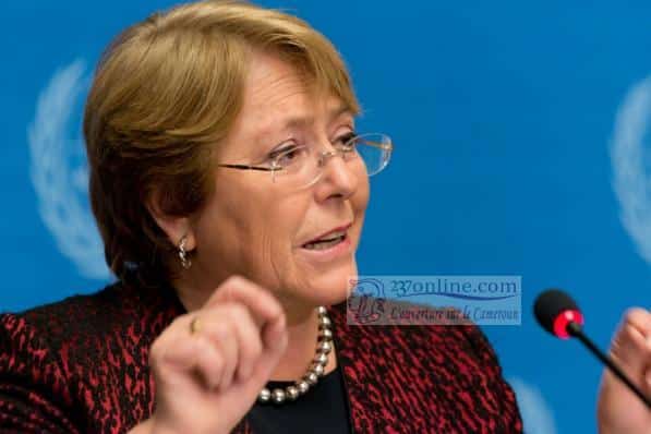 Cameroon: Michelle Bachelet Says Bilingualism and Disarmament Commissions Can Effect Change