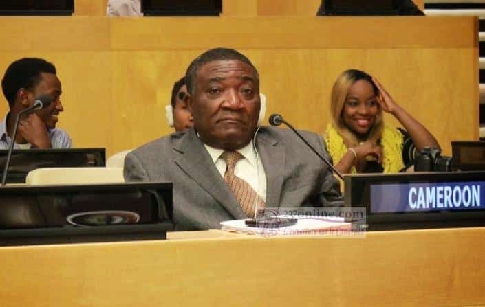L’ambassadeur du Cameroun à l’ONU, Tommo Monthe, a vivement protesté contre la réunion informelle du Conseil de sécurité
