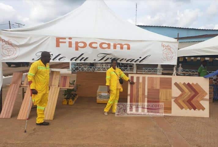 Cameroun – Mfou – Société Forestière FIPCAM : Ses activités enfin dévoilées…