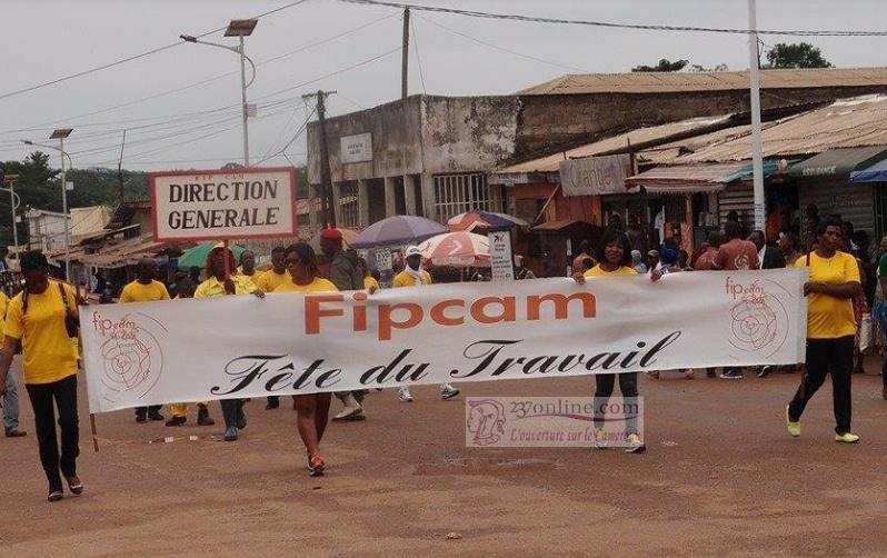 Mfou Cameroun : Les ouvriers de la Fipcam enfin libres !