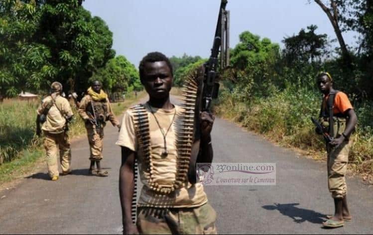 rebelles centrafricains rca