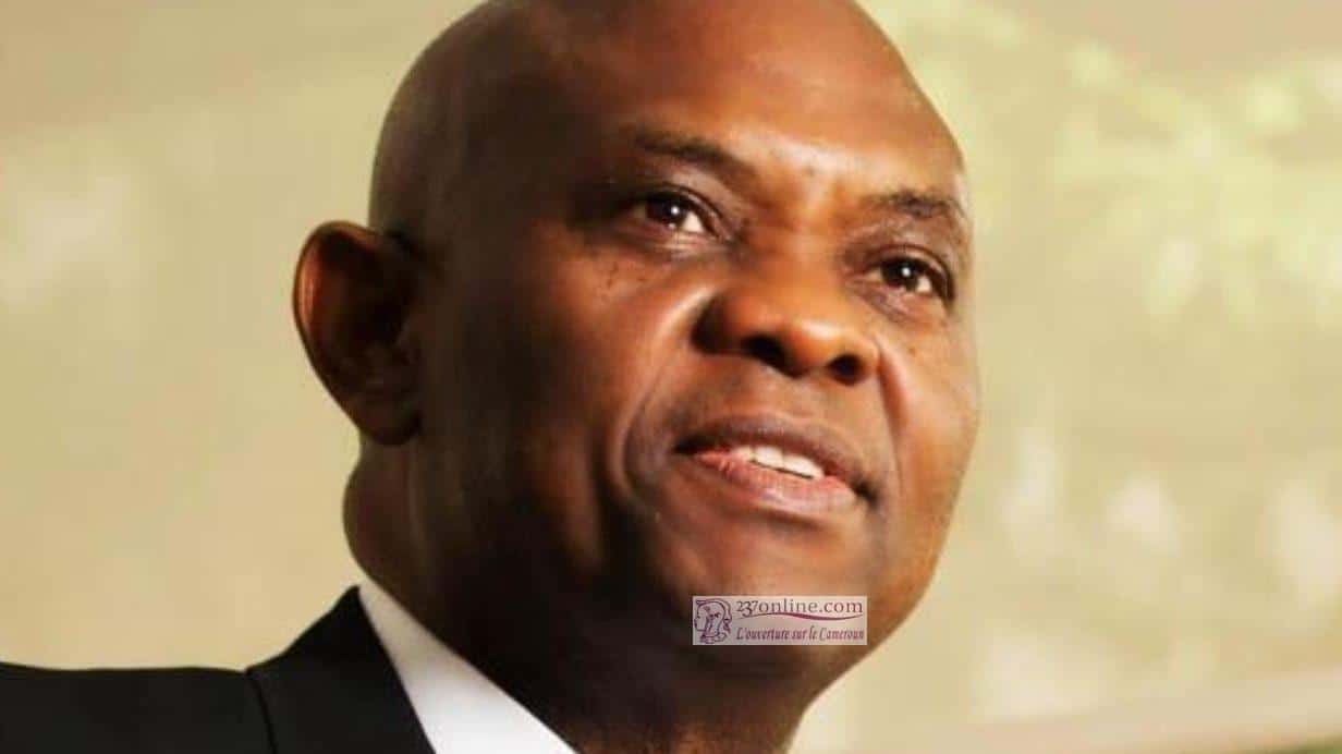 cropped tony elumelu tokyo