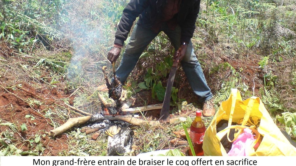 cropped preparation coq sacrifie