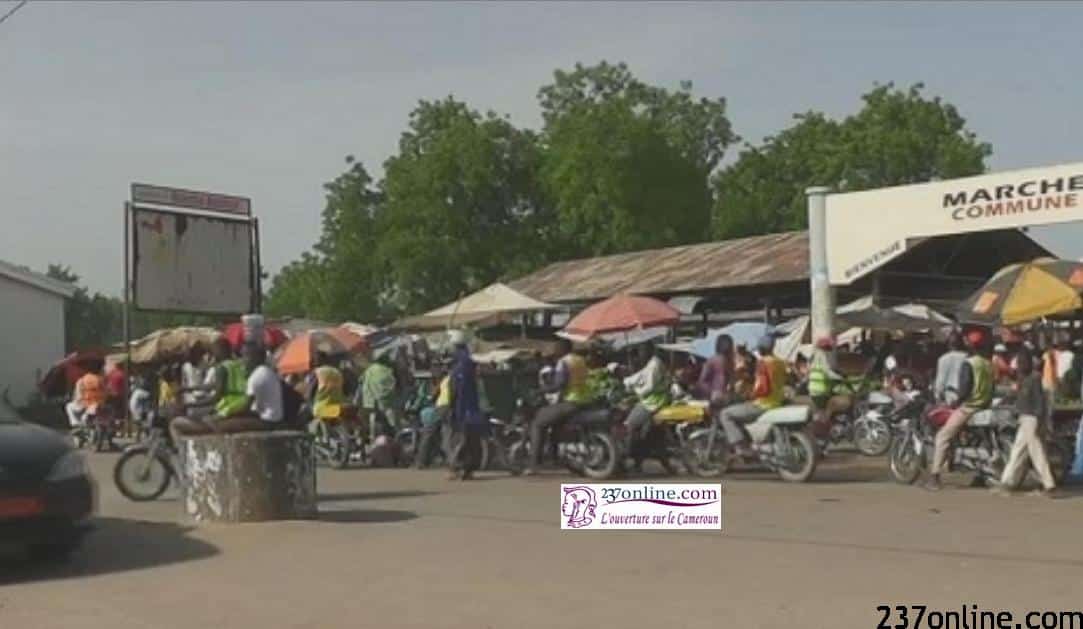 Marché central de Maroua