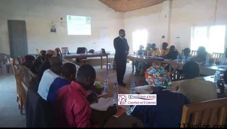 Renforcement des capacités des bibliothécaires de classe : un atelier vient de se tenir a Malantouen dans la région de l'ouest