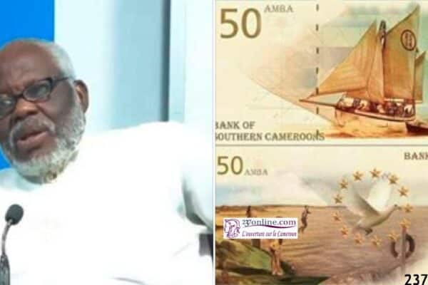 Crise anglophone: AYAH Paul ABINE accusé d'être un Chef de guerre ambazonien
