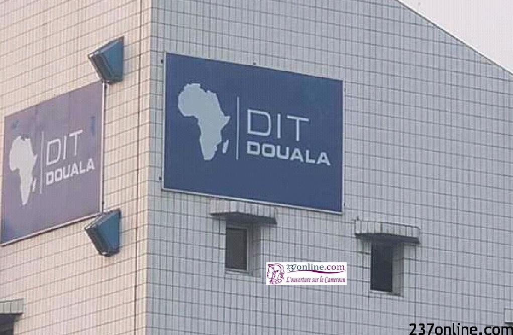 Cameroun-Justice : Des bonnes nouvelles pour Douala International Terminal (DIT)