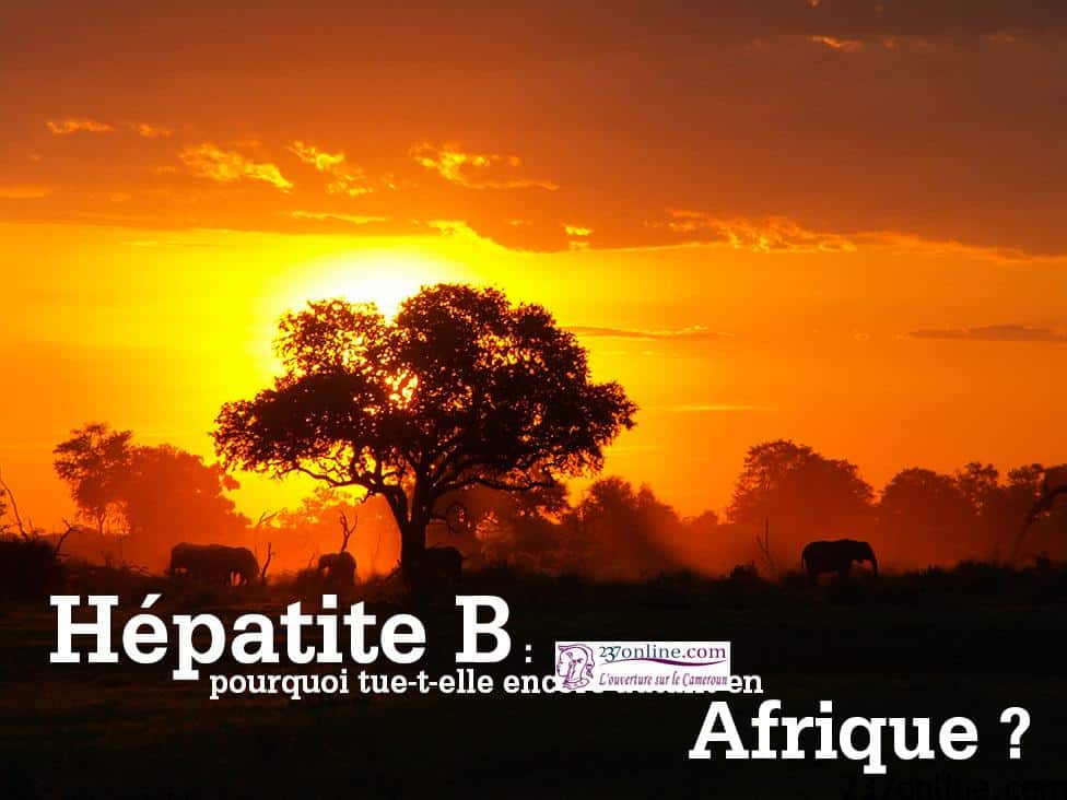 Hepatite en Afrique