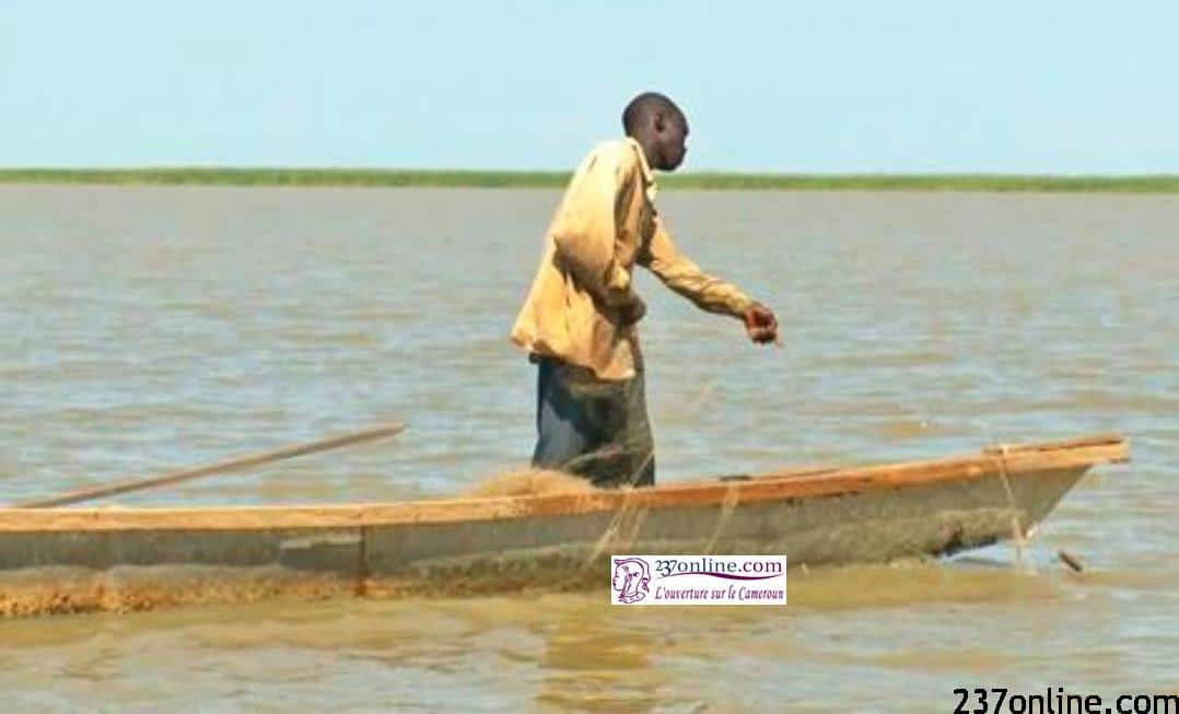 pecheurs cameroun