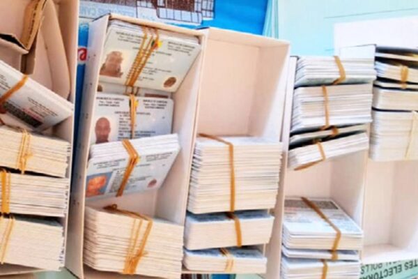 Élections: 27368 cartes d’électeurs en souffrance à Elecam Adamaoua