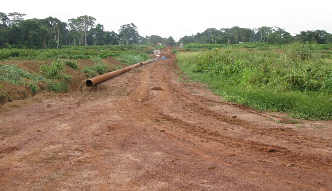 Comment acquérir un terrain non titré au Cameroun en 6 étapes