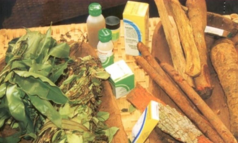 medecine traditionnelle au Cameroun