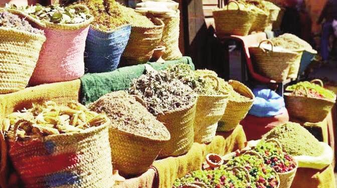 Cameroun: La pharmacopée traditionnelle gagne du terrain