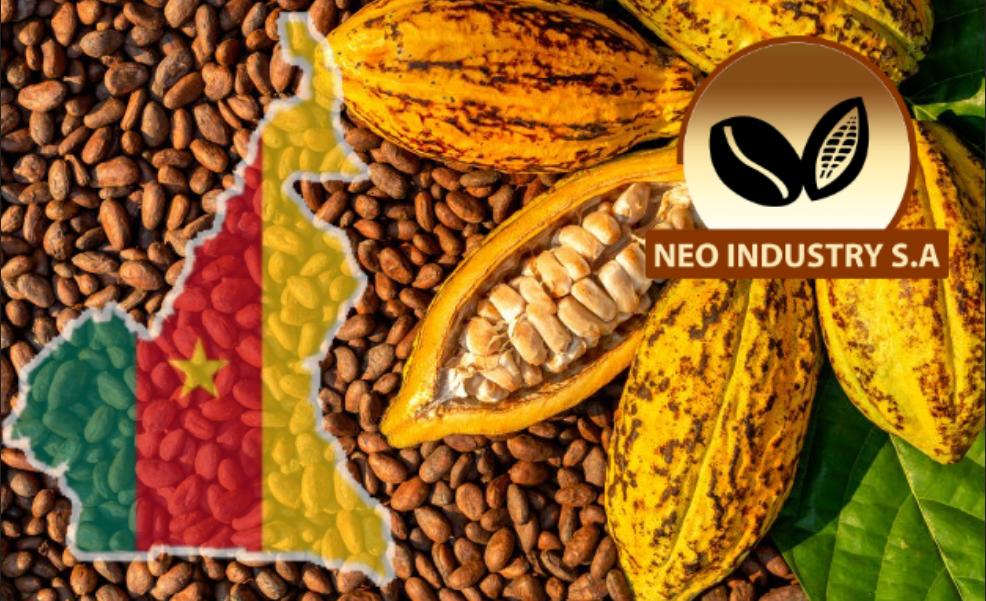 NEO Industry S.A la camerounaise