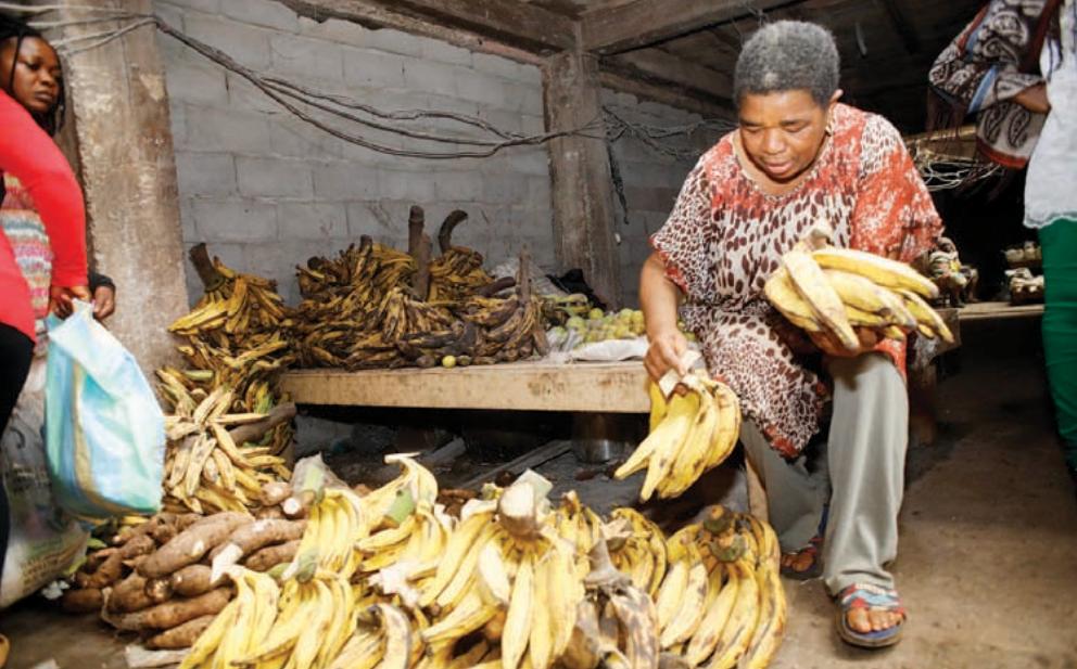 Cameroun: Quand le plantain perd son goût