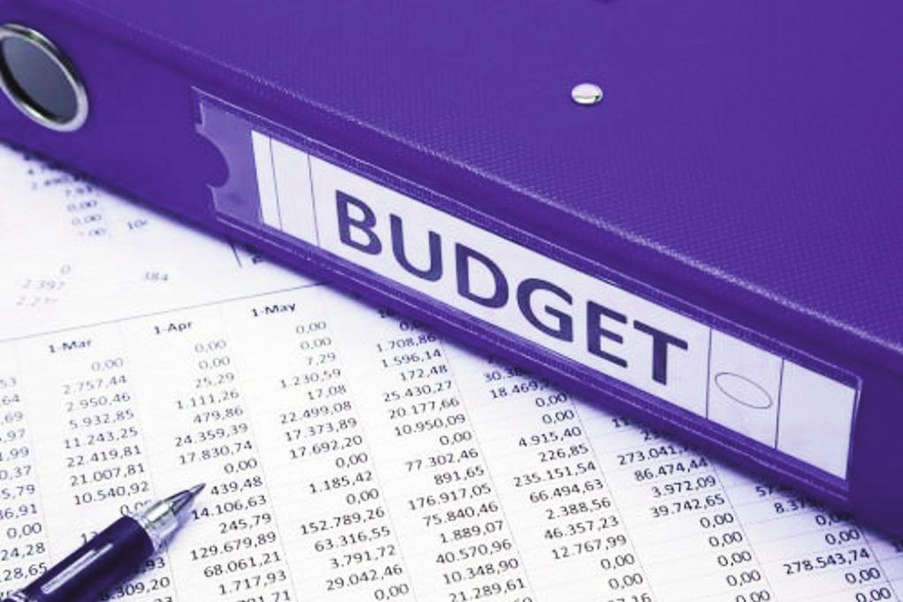 Budget finance publique