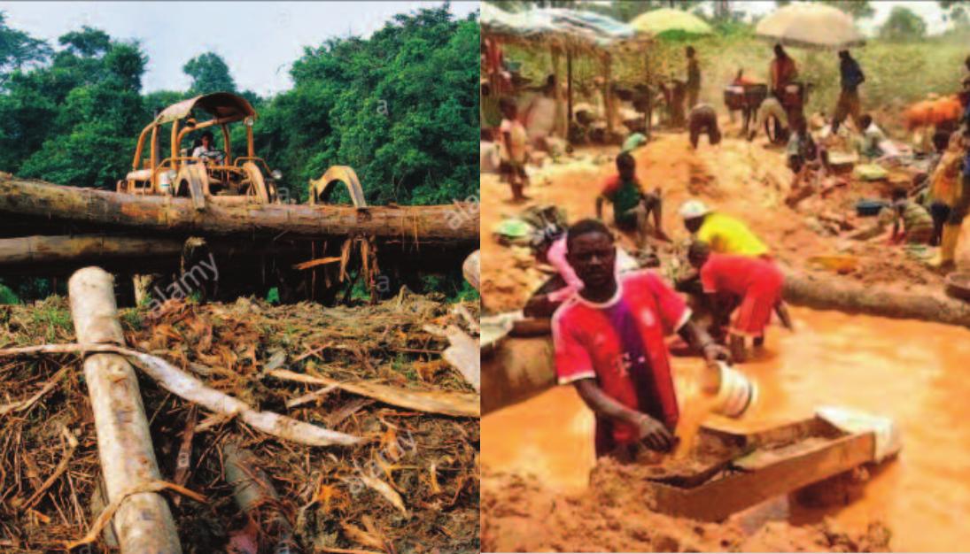 Déforestation et exploitation minière