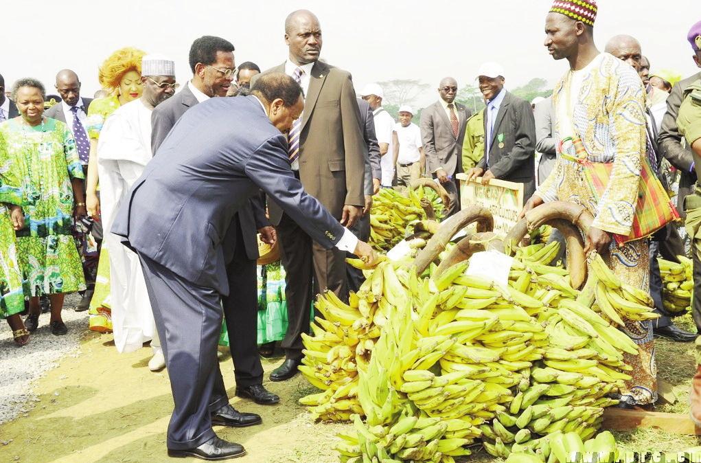 Paul BIYA soutien l’agriculture, l’élevage