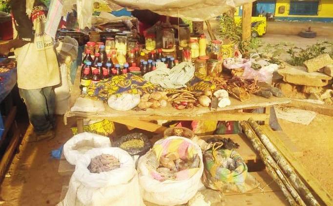 Cameroun : La vente des remèdes traditionnels nourrit son homme