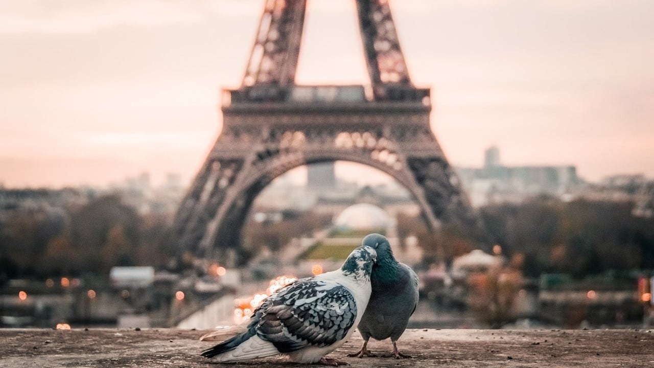 Caractéristiques et popularité des rencontres en ligne en France