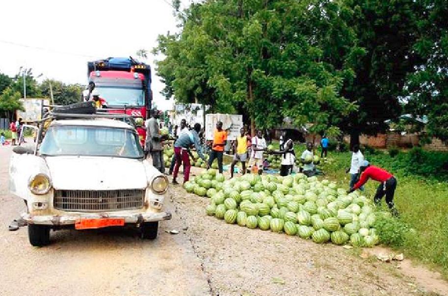 Cameroun : Les pastèques abondent sur le marché à Maroua