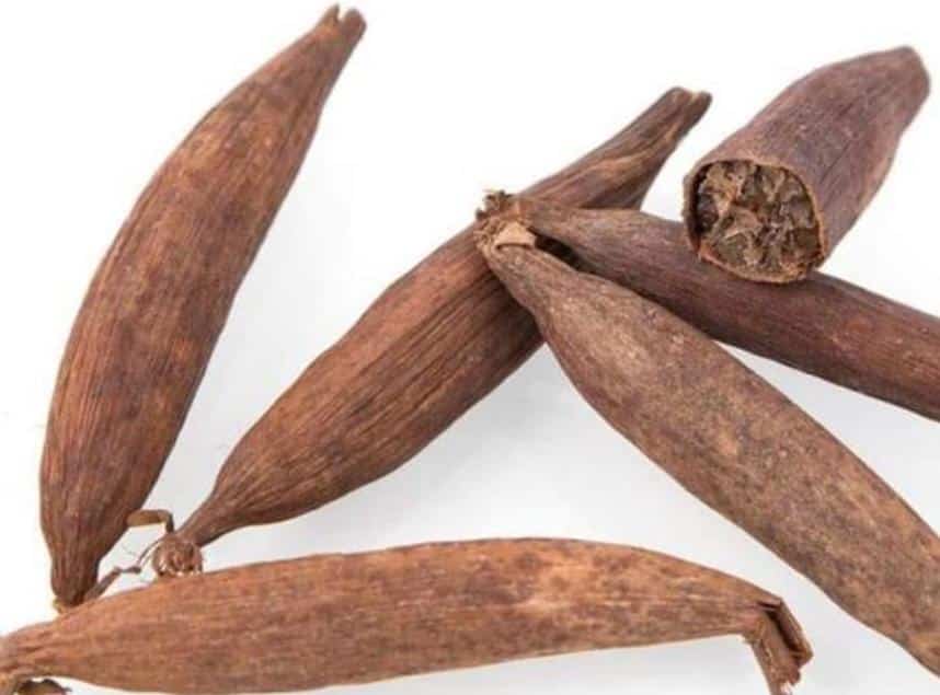Cameroun – Traditions : Ce que vaut le jujube en pays Bamiléké