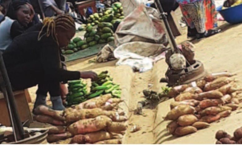 Manioc, macabo et pommes de terre à bon prix