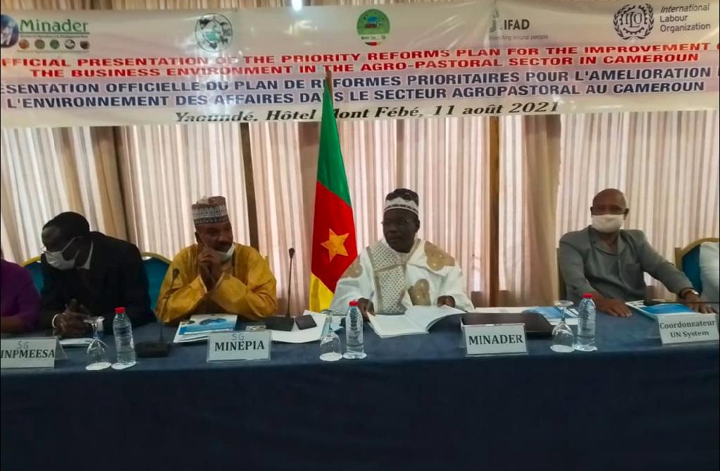 Amélioration du climat des affaires : de nouvelles réformes pour le secteur agropastoral au Cameroun