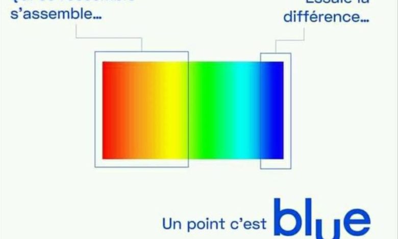 Cameroun - Téléphonie mobile : affabulations déconcertantes sur le logo de ‘’Blue’’, le nouveau-né de CAMTEL 1 Blue Camtel