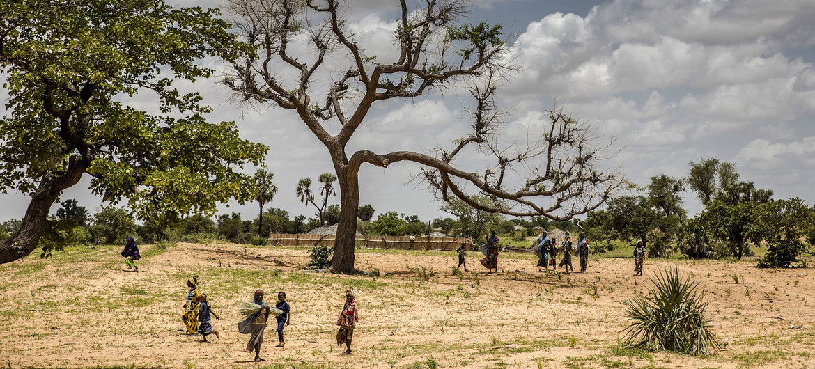 la restauration des terres degradees en afrique progresse lentement et necessite des efforts accrus fao