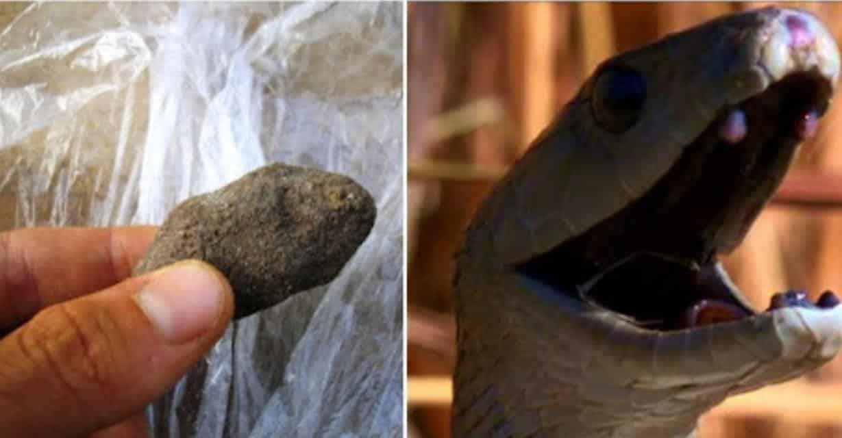 Cameroun – aspirateur de venins : Les scientifiques n’approuvent pas la Pierre noire