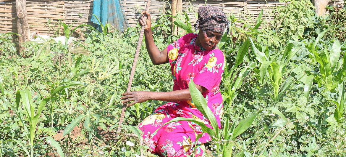 solutions must be found for millions displaced from sudan and south sudan