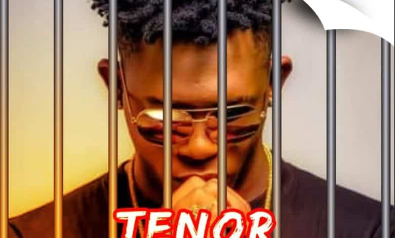 Affaire Tenor