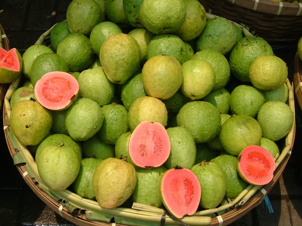 La goyave, un allié santé made in Cameroun