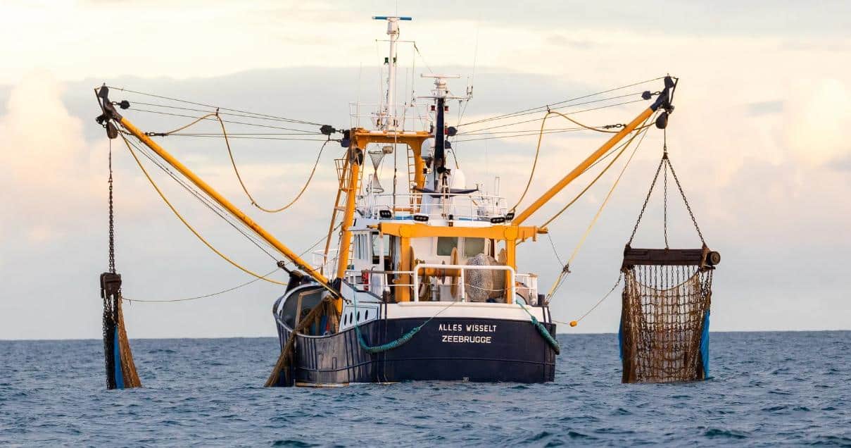 La France interdit aux bateaux de pêche britanniques de débarquer dans ses ports