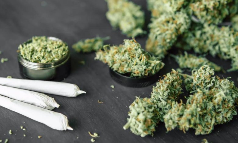 cannabis