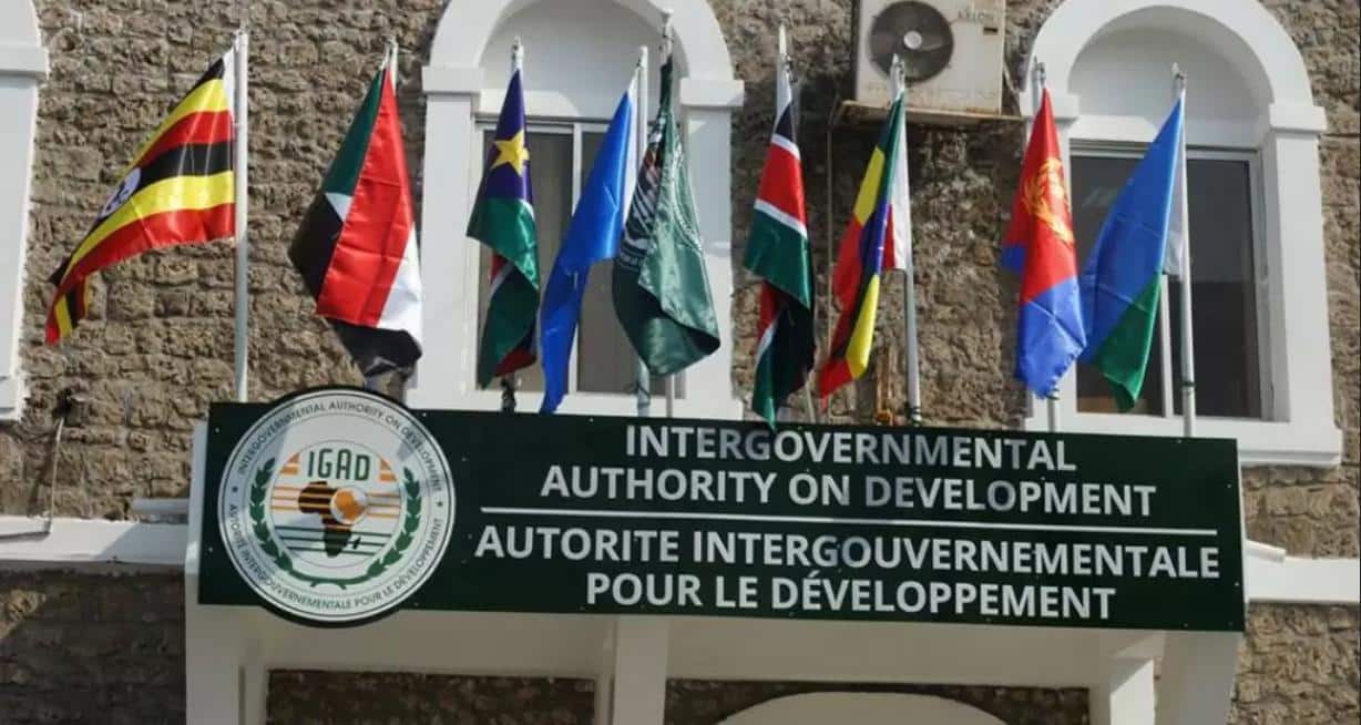 IGAD