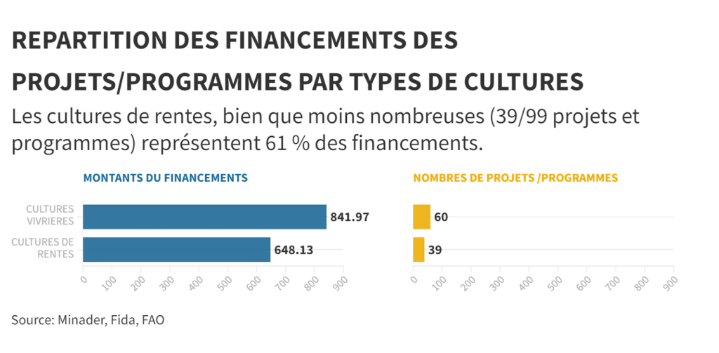 <strong>Enquête : Les femmes lésées par les politiques agricoles au Cameroun</strong> 2 image