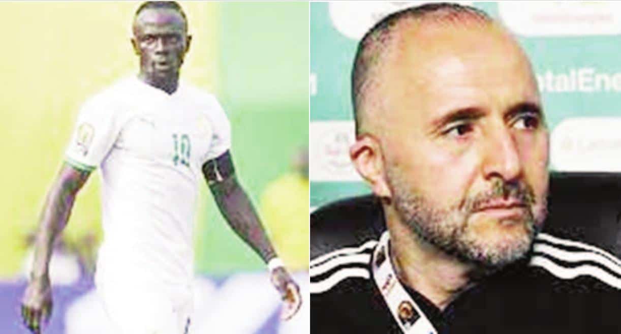 Djamel Belmadi et alioum cisse